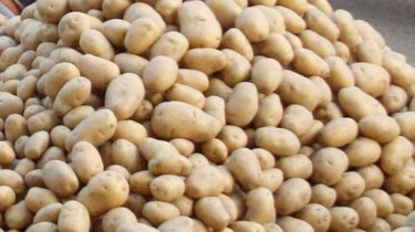 অস্থির আলুর বাজার, দাম বেড়েছে ১০-১৫ টাকা