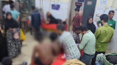মৌমাছির চাকে স্কুল শিক্ষাথীদের ঢিল, হাসপাতালে ভর্তি ৬