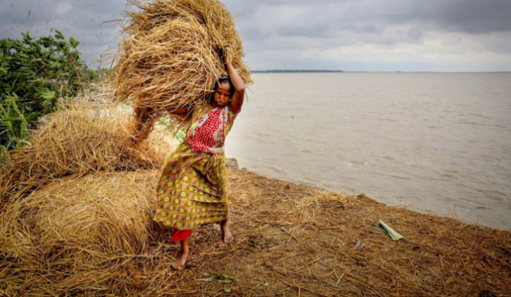 ছবি গ্যালারী