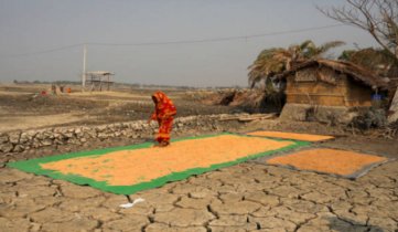 ঐতিহ্যবাহী মাছ ধরার দৃশ্য