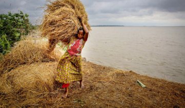 ছবি গ্যালারী